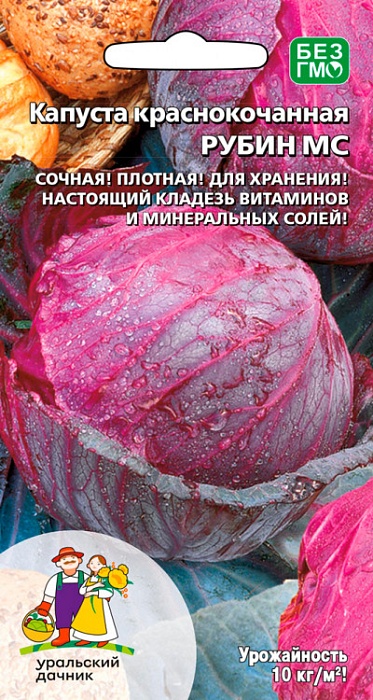 картинка Капуста краснокочанная Рубин МС 0,25г ц/п (УД) среднеспелая магазин Одежда+ являющийся официальным дистрибьютором в России 