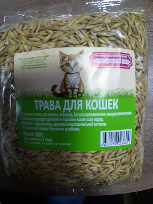 картинка Трава для кошек 500г (Ал.склад) 5/50 магазин Одежда+ являющийся официальным дистрибьютором в России 