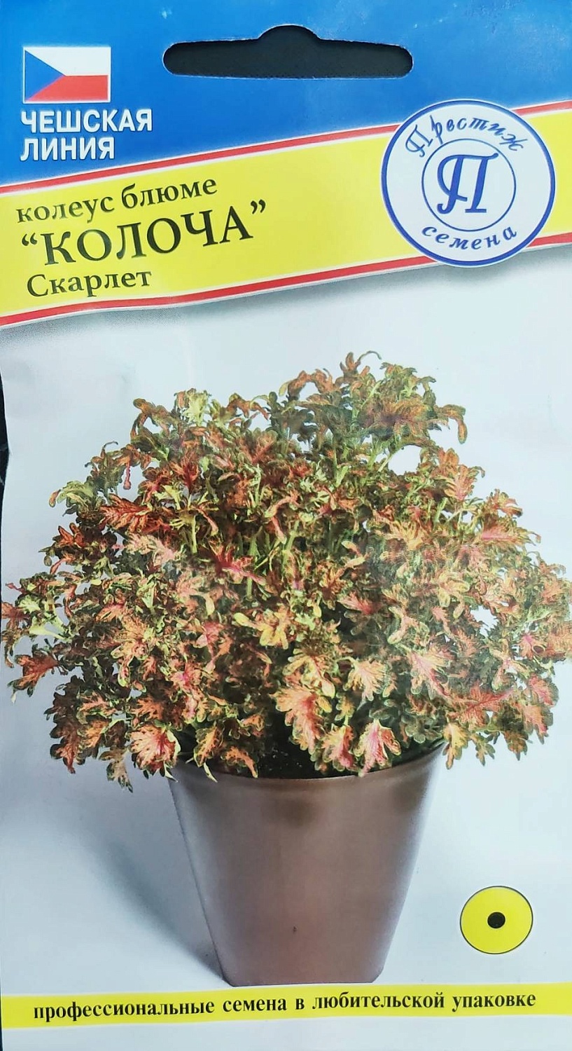 Колеус Колоча Скарлет 5шт (Престиж)