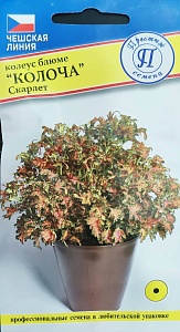 Колеус Колоча Скарлет 5шт (Престиж)