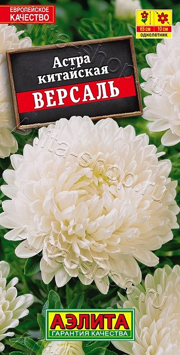 картинка Астра Версаль, пионовидная 0,2г ц/п (Аэлита)  магазин Одежда+ являющийся официальным дистрибьютором в России 