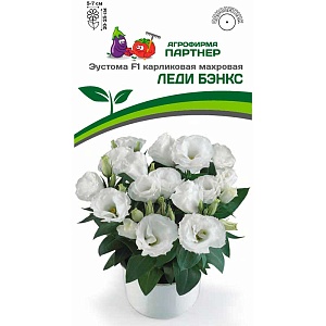 Эустома Леди Бэнкс F1 5шт *(Партнер)