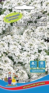 Иберис Белый Гиацинт ц/п (УД)
