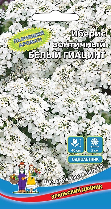 картинка Иберис Белый Гиацинт ц/п (УД) магазин Одежда+ являющийся официальным дистрибьютором в России 