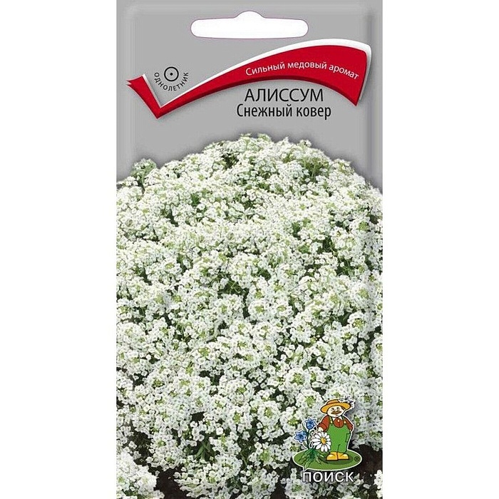 картинка Алиссум Снежный ковер 0,3г ц/п (Поиск)  магазин Одежда+ являющийся официальным дистрибьютором в России 