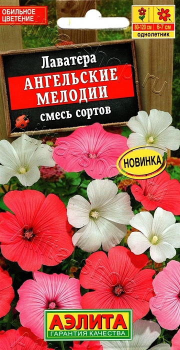 картинка Лаватера Ангельские мелодии, смесь сортов 0,3г ц/п (Аэлита) магазин Одежда+ являющийся официальным дистрибьютором в России 