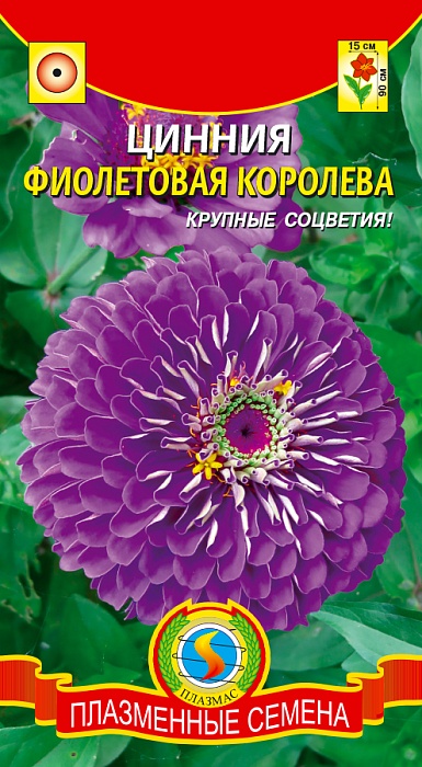 Цинния Фиолетовая королева 0,3г ц/п (ПлазмаС)