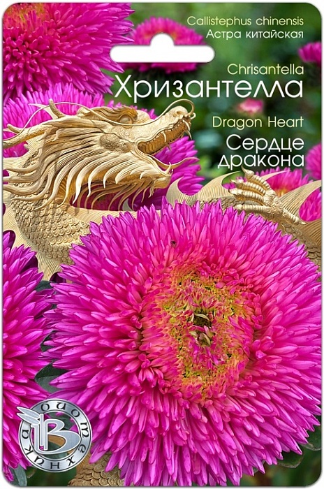 картинка Астра Хризантелла Сердце дракона 30шт (Биотехника) магазин Одежда+ являющийся официальным дистрибьютором в России 