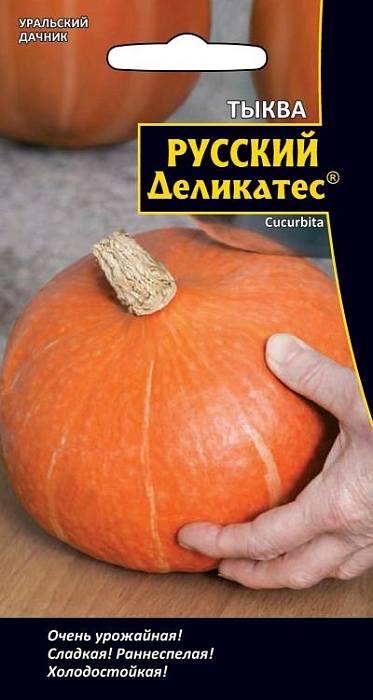 картинка Тыква Русский Деликатес 5шт ц/п (УД) Новинка! магазин Одежда+ являющийся официальным дистрибьютором в России 