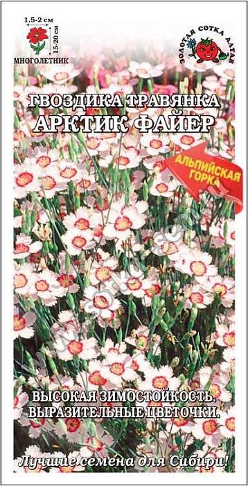 картинка Гвоздика травянка Арктик Файер 0,05г ц/п (З/Сотка) магазин Одежда+ являющийся официальным дистрибьютором в России 