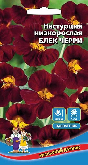 картинка Настурция Блек черри 1г ц/п (УД)  магазин Одежда+ являющийся официальным дистрибьютором в России 
