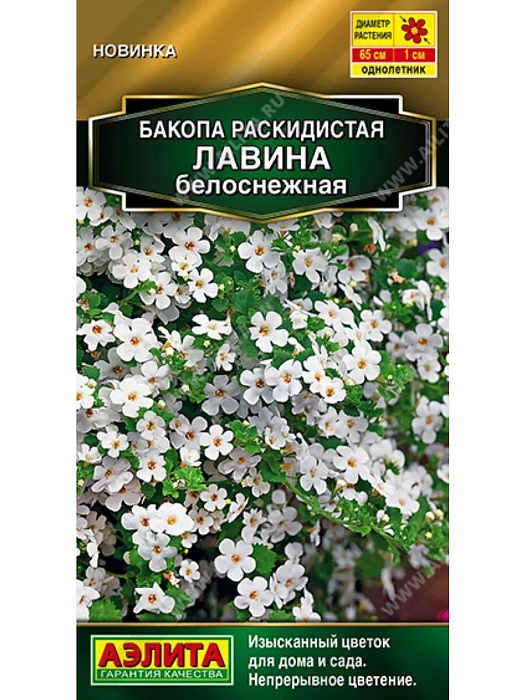 картинка Бакопа Лавина Белоснежная 3шт ц/п (Аэлита) магазин Одежда+ являющийся официальным дистрибьютором в России 
