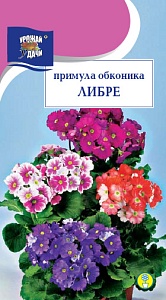 Примула Обконика Либре микс 3шт ц/п (УУ)