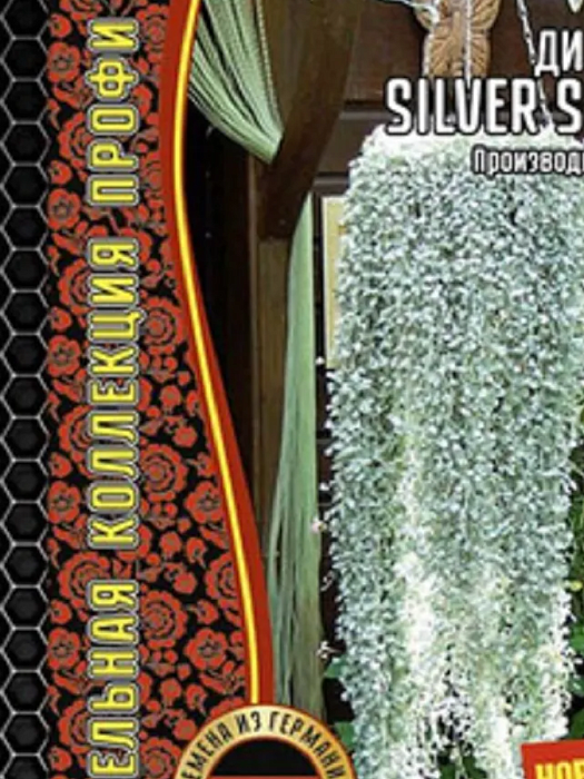 картинка Дихондра Silver Surfer (Benary) F1 3шт (Григорьев) магазин Одежда+ являющийся официальным дистрибьютором в России 