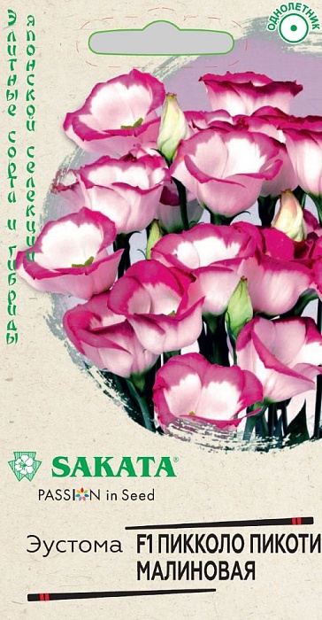 картинка Эустома Пикколо Пикоти малиновая F1 4шт ц/п (Гавриш) Эксклюзив магазин Одежда+ являющийся официальным дистрибьютором в России 