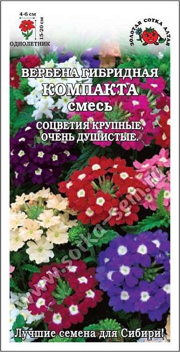 картинка Вербена Компакта смесь, 0,1г б/п (З/Сотка) магазин Одежда+ являющийся официальным дистрибьютором в России 