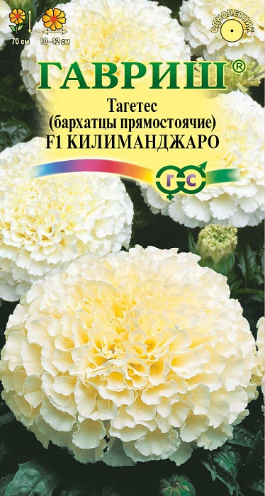 картинка Бархатцы Килиманджаро F1 0,05г ц/п (Гавриш) 70/10 магазин Одежда+ являющийся официальным дистрибьютором в России 