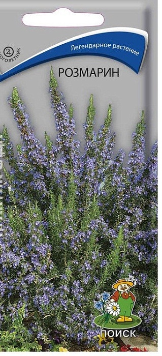 картинка Розмарин Лекарственный 0,01г ц/п (Поиск) магазин Одежда+ являющийся официальным дистрибьютором в России 