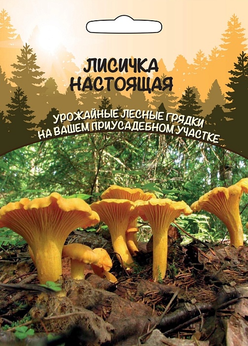 картинка Мицелий грибов Лисичка Настоящая 15г ц/п б/ф (ССПК)  магазин Одежда+ являющийся официальным дистрибьютором в России 