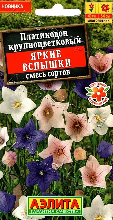 картинка Платикодон Яркие вспышки, смесь 0,03г ц/п (Аэлита) магазин Одежда+ являющийся официальным дистрибьютором в России 