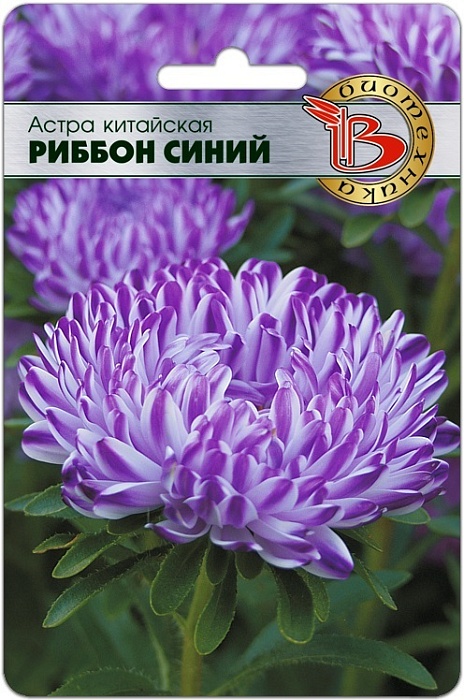 картинка Астра Риббон синий (Блю) 30шт (Биотехника) магазин Одежда+ являющийся официальным дистрибьютором в России 
