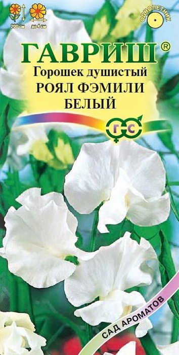 картинка Душистый горошек Роял Фэмили Белый 1г ц/п (Гавриш) Сад ароматов магазин Одежда+ являющийся официальным дистрибьютором в России 