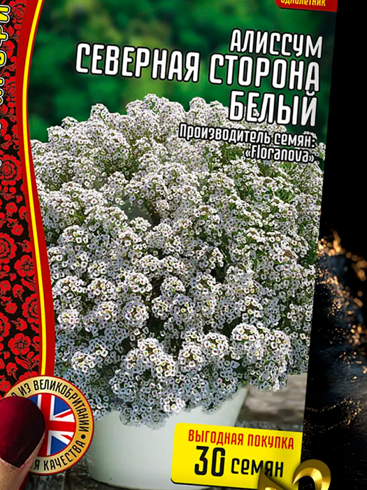 картинка Алиссум Северная Сторона Белый 30шт (Григорьев) магазин Одежда+ являющийся официальным дистрибьютором в России 