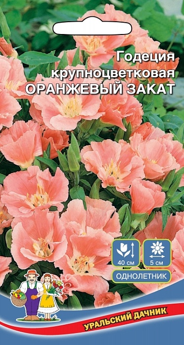 картинка Годеция Оранжевый Закат 0,1г ц/п (УД) магазин Одежда+ являющийся официальным дистрибьютором в России 
