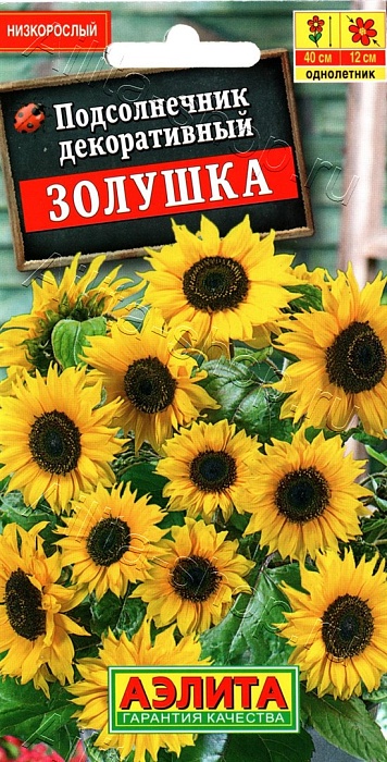 картинка Подсолнечник Золушка 0,5г ц/п (Аэлита) магазин Одежда+ являющийся официальным дистрибьютором в России 