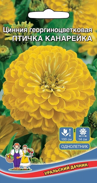 картинка Цинния Птичка Канарейка ц/п (УД) георгиноцветковая магазин Одежда+ являющийся официальным дистрибьютором в России 