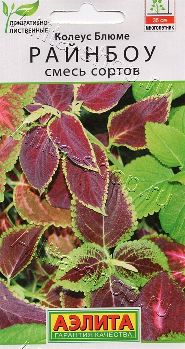 картинка Колеус Райнбоу блюме, смесь сортов 0,05г ц/п (Аэлита)  магазин Одежда+ являющийся официальным дистрибьютором в России 