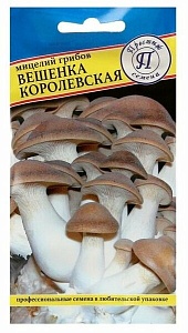 Мицелий грибов Вешенка Королевская 12 палочек (Престиж) 