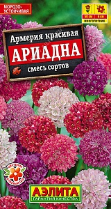 Армерия Ариадна, смесь 0,03 ц/п (Аэлита) 