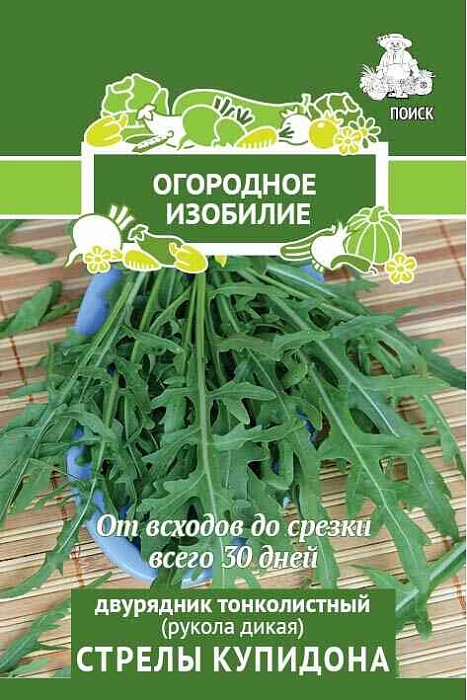 картинка Двурядник тонколистный (рукола) Стрелы купидона 1г лид/п (Поиск) Огород.изобилие магазин Одежда+ являющийся официальным дистрибьютором в России 