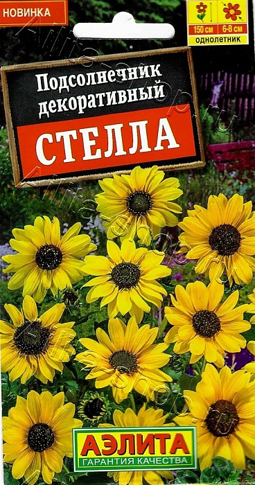картинка Подсолнечник Стелла 0,1г ц/п (Аэлита) магазин Одежда+ являющийся официальным дистрибьютором в России 