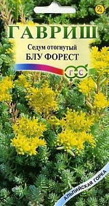 Очиток Блу Форест 0,01г ц/п (Гавриш) Альп.горка