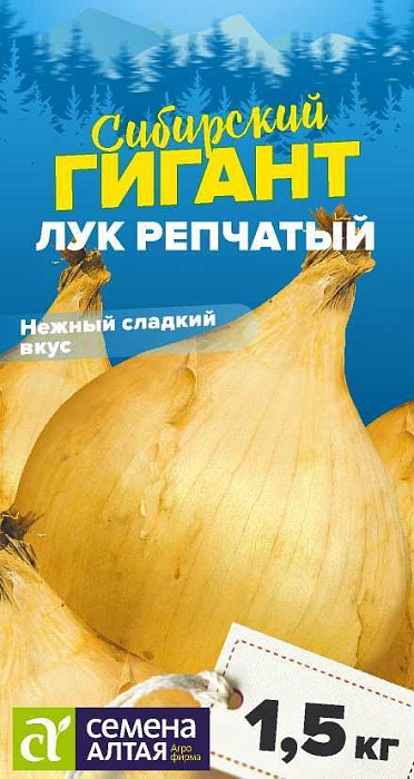 картинка Лук Сибирский Гигант 0,2г ц/п (СемАлт) магазин Одежда+ являющийся официальным дистрибьютором в России 