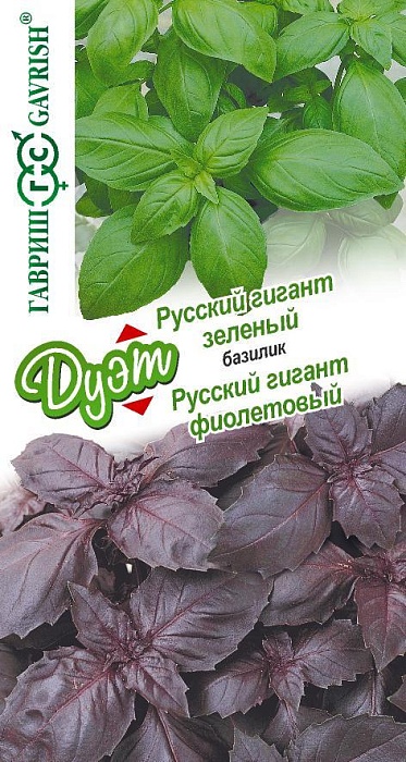 картинка Базилик Русский гигант серия ДУЭТ зеленый+фиолетовый 0,1г+0,1г ц/п (Гавриш) магазин Одежда+ являющийся официальным дистрибьютором в России 