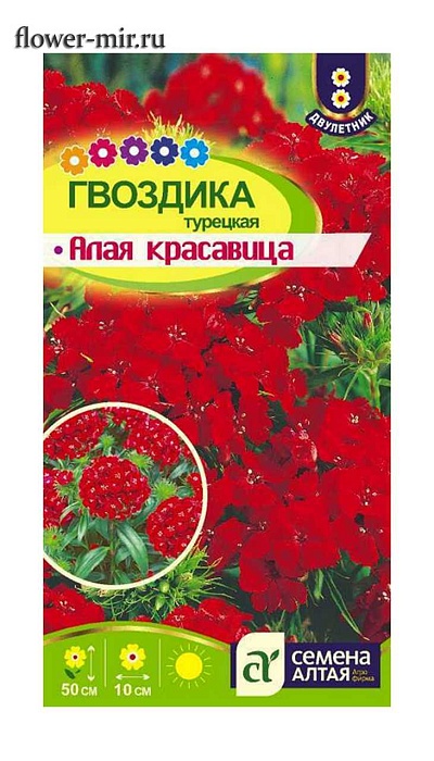 картинка Гвоздика турецкая Алая красавица 0,2г ц/п (СемАлт) магазин Одежда+ являющийся официальным дистрибьютором в России 