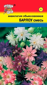 Аквилегия Барлоу махровая смесь 0,05г ц/п (УУ)