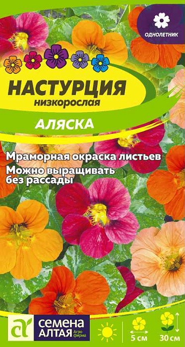 картинка Настурция Аляска низкорослая 1г ц/п (СемАлт) магазин Одежда+ являющийся официальным дистрибьютором в России 