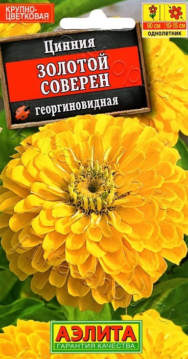 картинка Цинния Золотой Соверен 0,3г ц/п (Аэлита) 90см.15см  магазин Одежда+ являющийся официальным дистрибьютором в России 