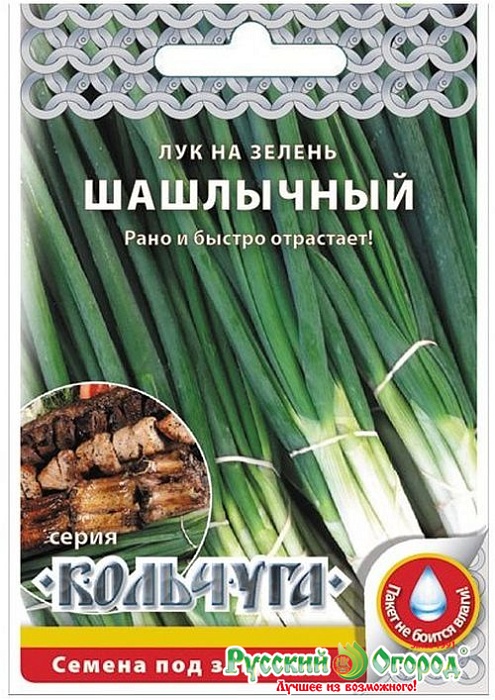 картинка Лук на зелень Шашлычный 1г кол/п (НК)  магазин Одежда+ являющийся официальным дистрибьютором в России 