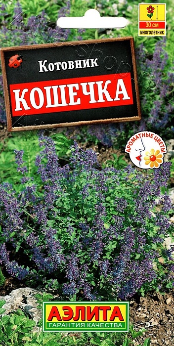 картинка Котовник Кошечка 0,2г ц/п (Аэлита) магазин Одежда+ являющийся официальным дистрибьютором в России 