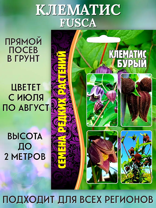 картинка Клематис Бурый (Ломонос) 5шт (Григорьев) магазин Одежда+ являющийся официальным дистрибьютором в России 