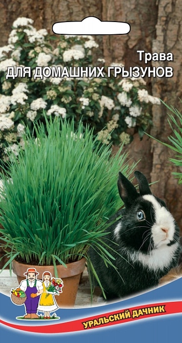 картинка Трава для домашних грызунов ц/п (УД) магазин Одежда+ являющийся официальным дистрибьютором в России 