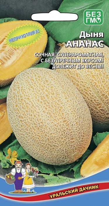 Дыня Ананас 10шт ц/п (УД) с/спелый сорт, масса 1,5-2,5 кг