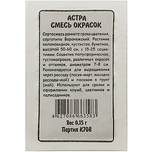 Астра Воронежский Букет б/п (Марс) махровая