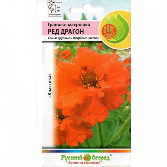 картинка Гравилат Ред Драгон махровый 15шт ц/п (НК) магазин Одежда+ являющийся официальным дистрибьютором в России 