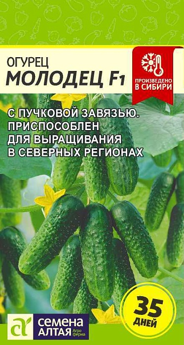 картинка Огурец Молодец 5шт ц/п (СемАлт) магазин Одежда+ являющийся официальным дистрибьютором в России 